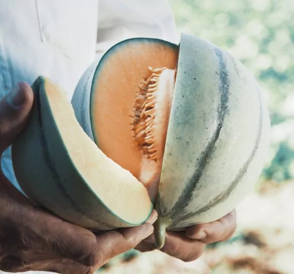 Le-bien-etre-au-naturel