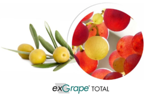 Myrtille raisin extra